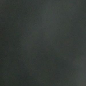 Meet your Posher, Briana